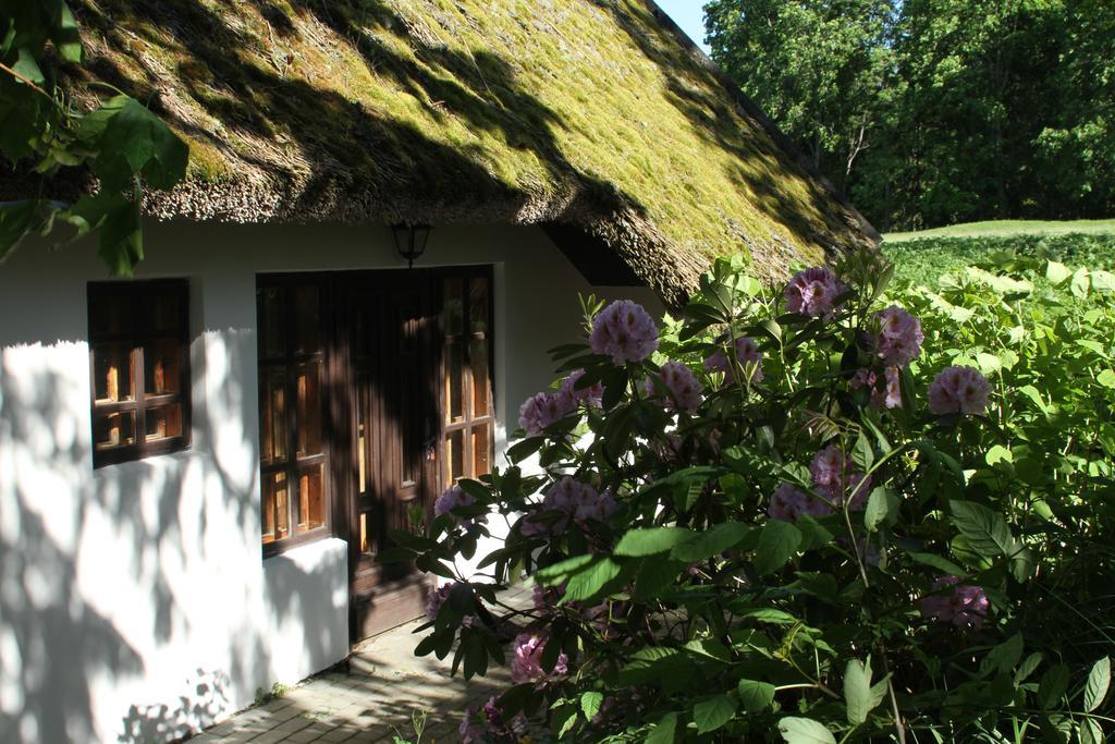Denderi Villa Rubene Szoba fotó