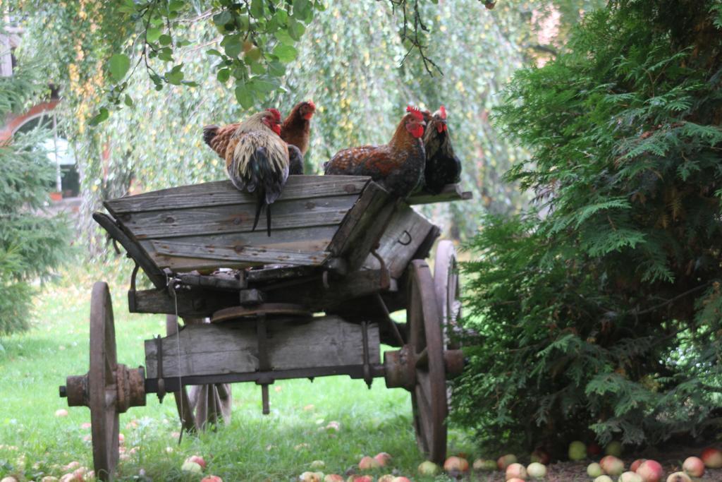 Denderi Villa Rubene Szoba fotó
