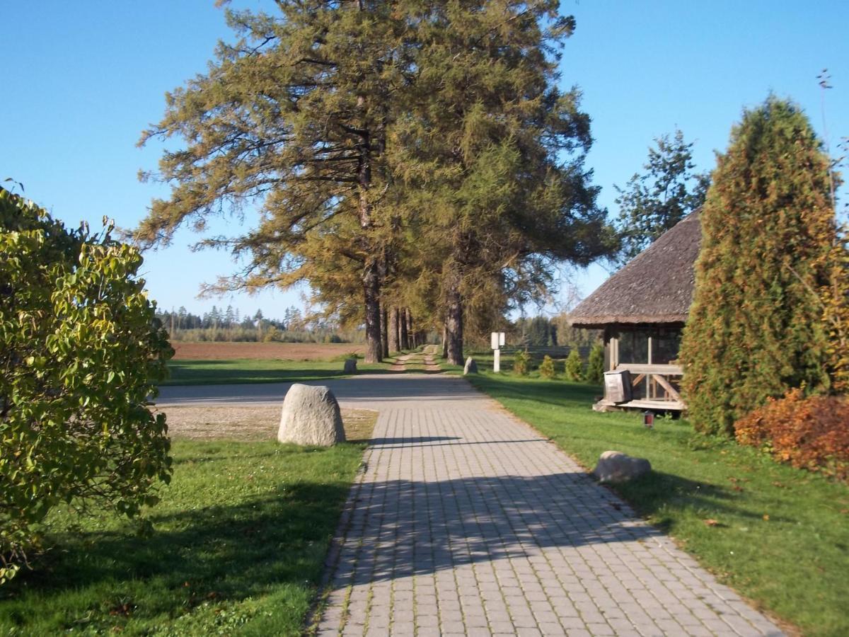 Denderi Villa Rubene Szoba fotó